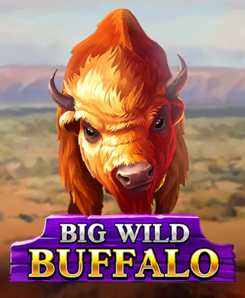Play Big Wild Buffalo at Bonus Spins Space Casino